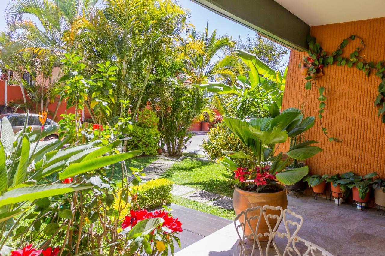 Casa De Las Palmas Guest House Oaxaca Kültér fotó