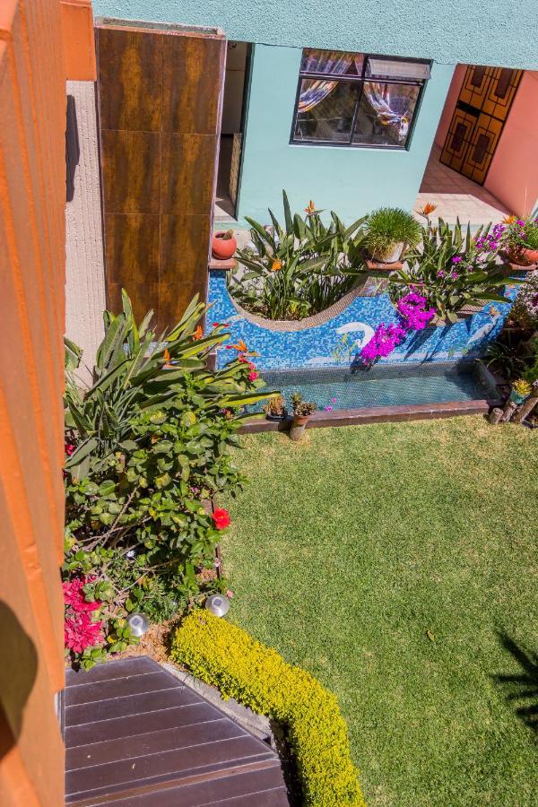 Casa De Las Palmas Guest House Oaxaca Kültér fotó