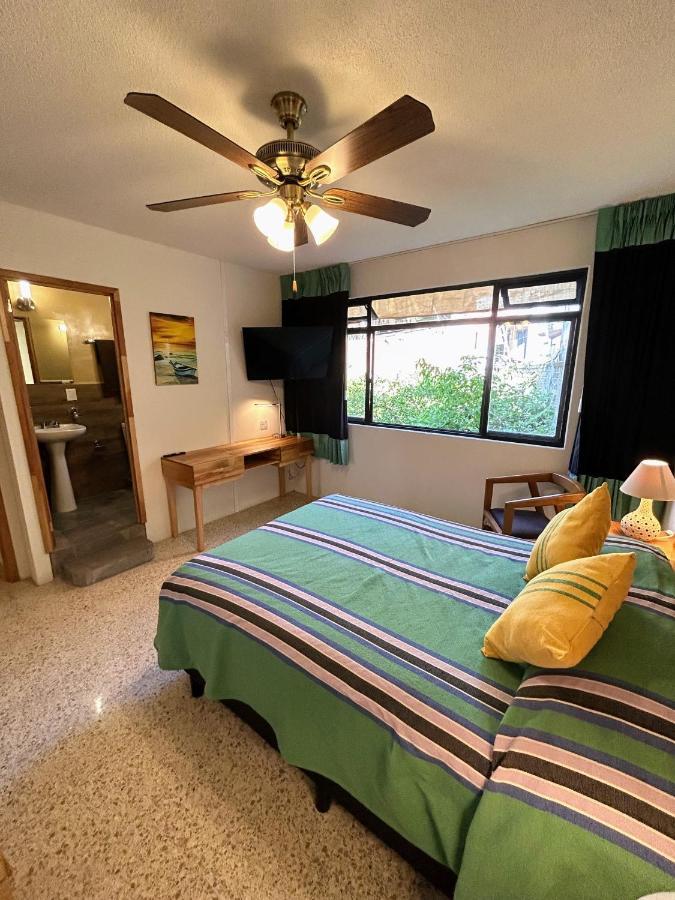 Casa De Las Palmas Guest House Oaxaca Kültér fotó