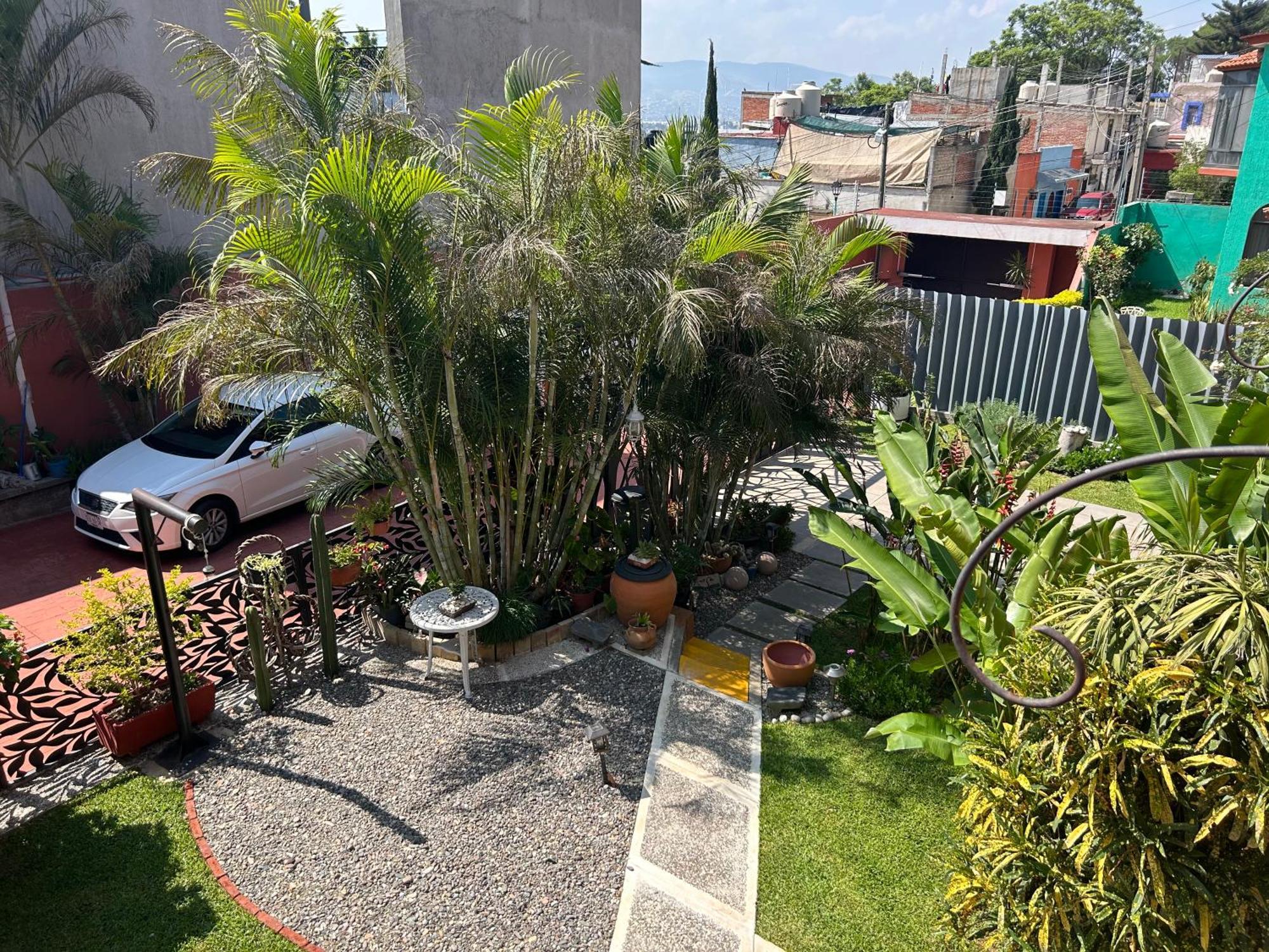 Casa De Las Palmas Guest House Oaxaca Kültér fotó